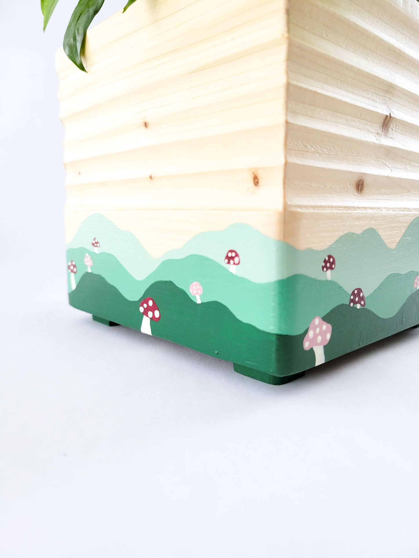 Square Mushroom Planter