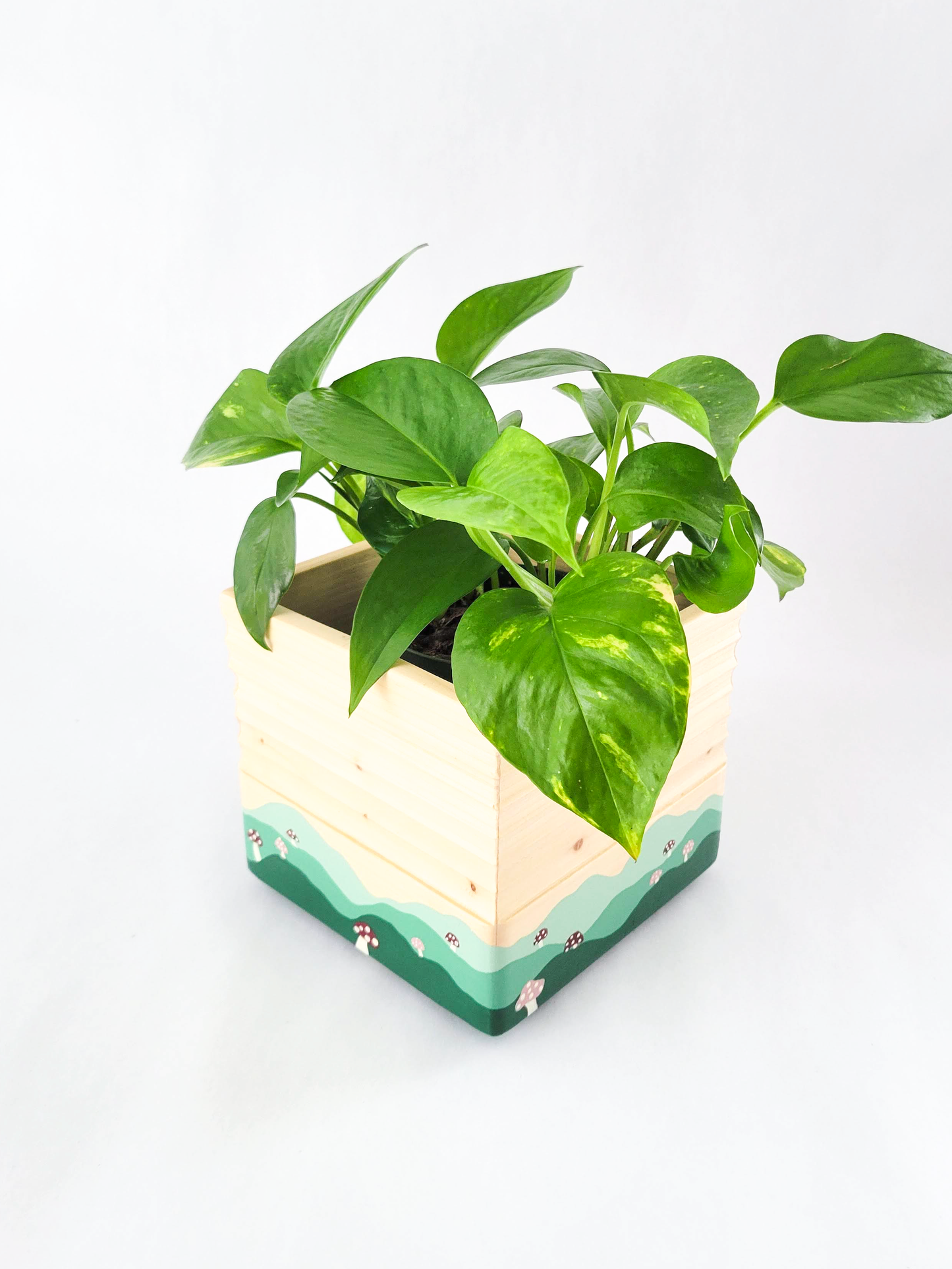 Square Mushroom Planter