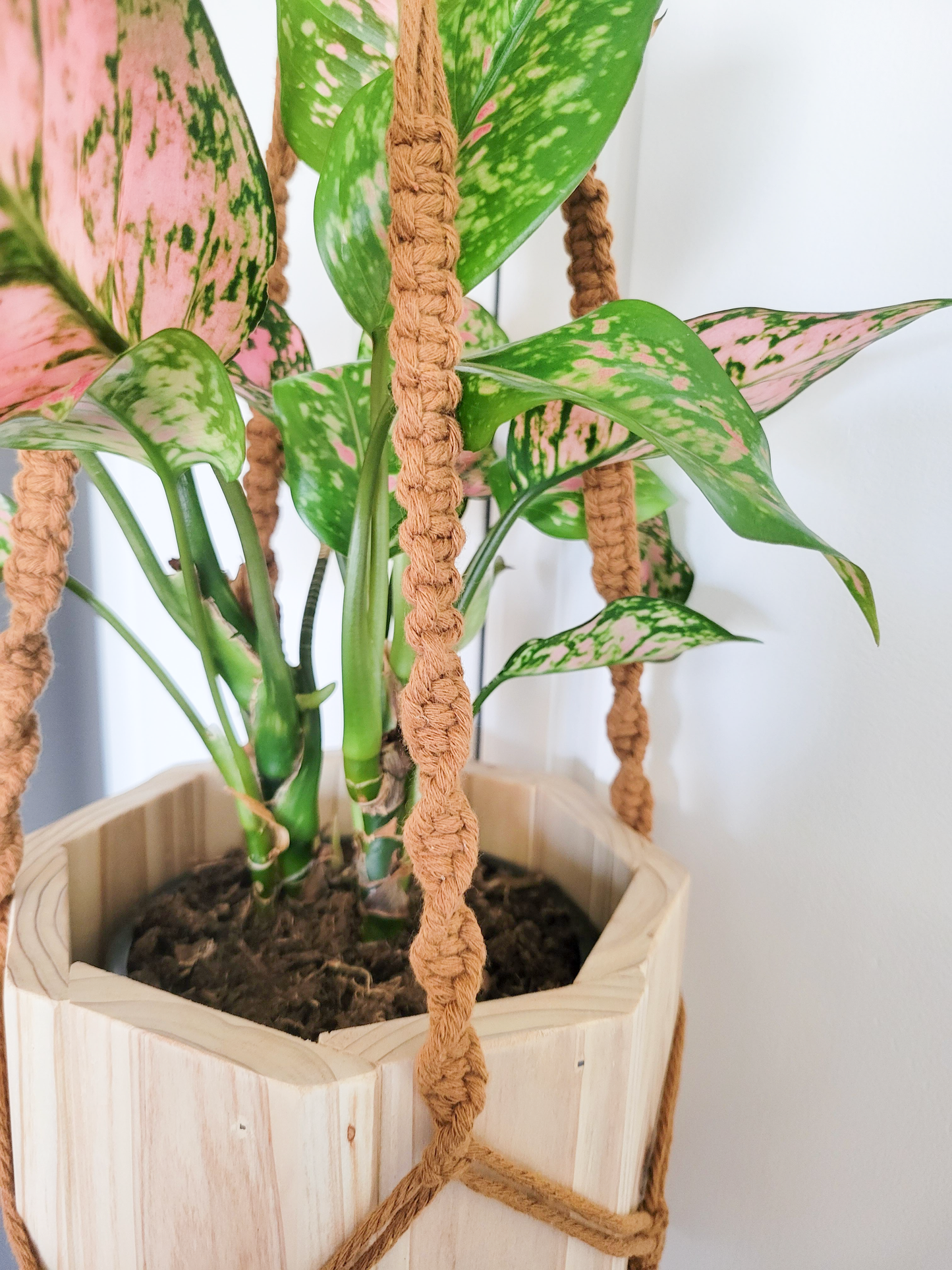 Wood Octagon Planter with Macrame