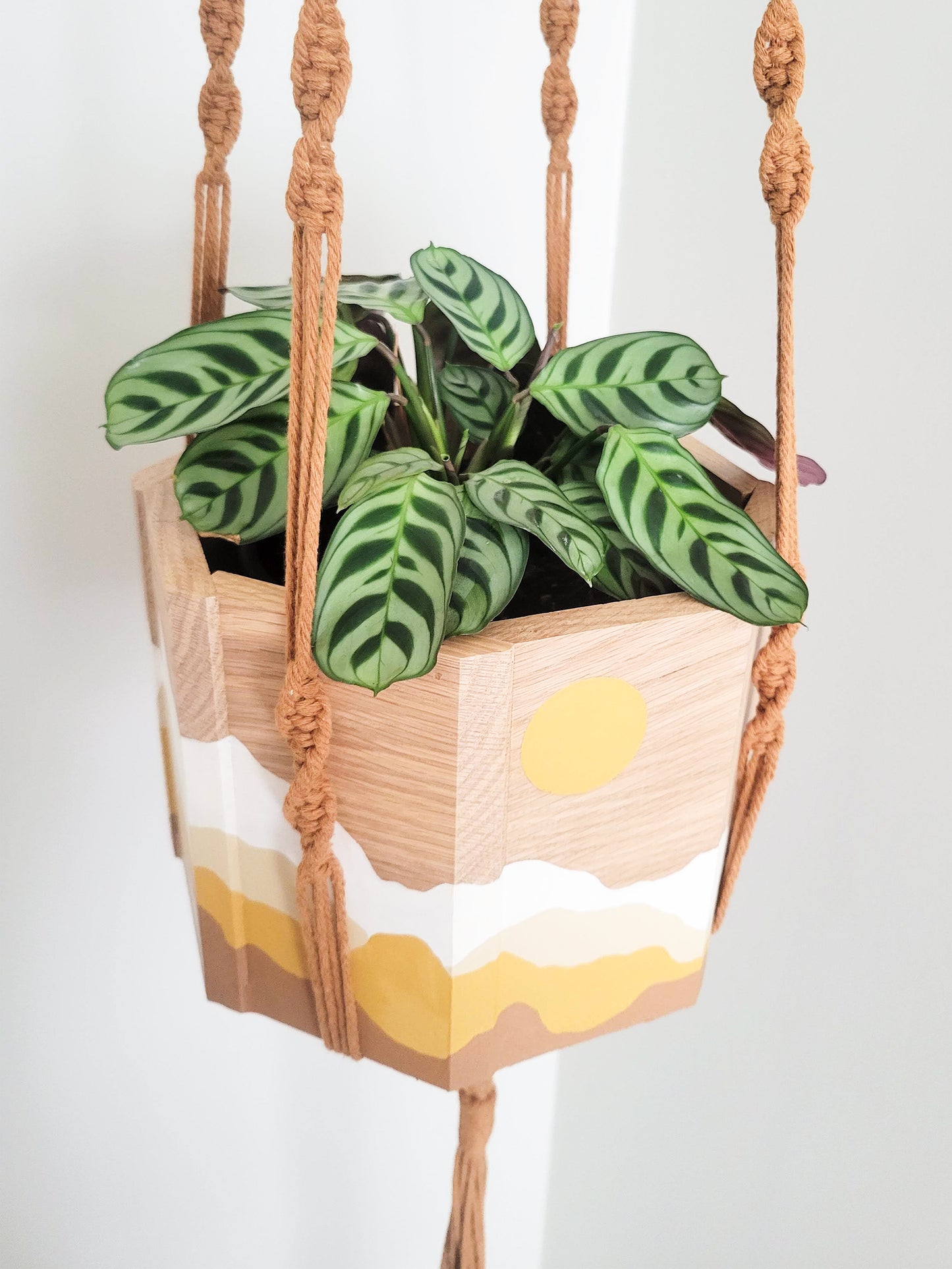 Sun & Mountains Planter with Macrame Hanger