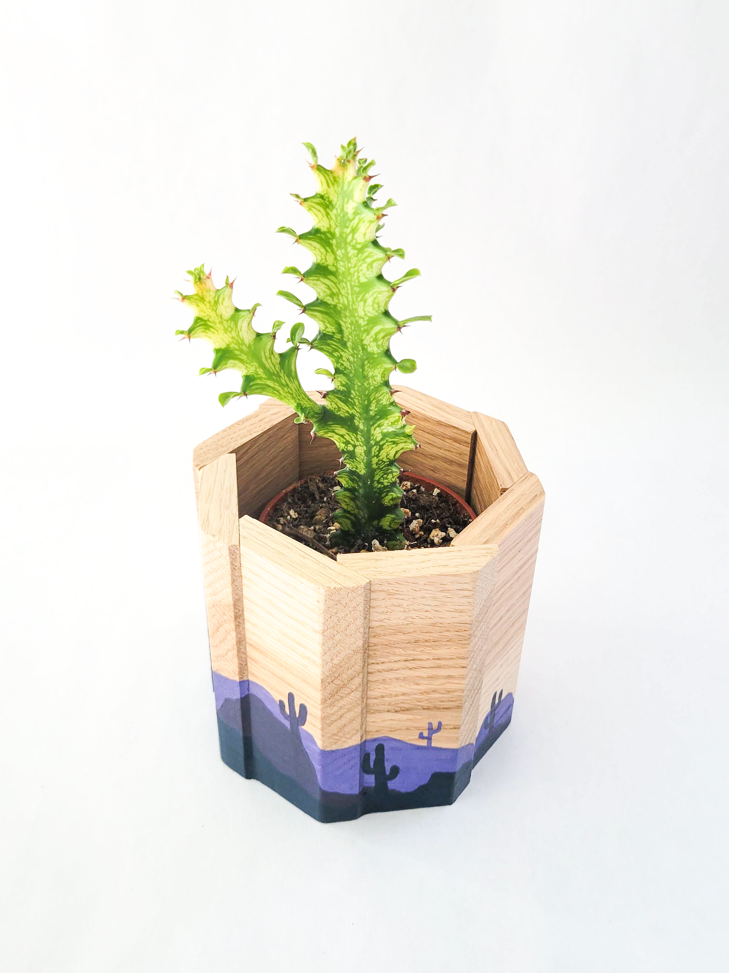 Mini White Oak-tagon