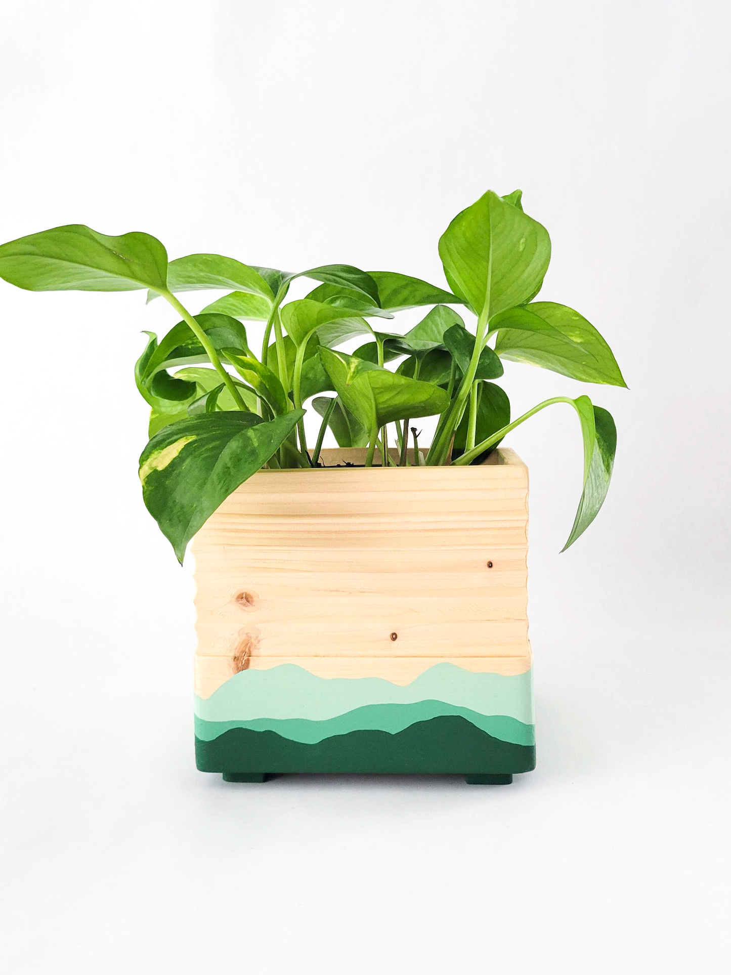 Square Mushroom Planter