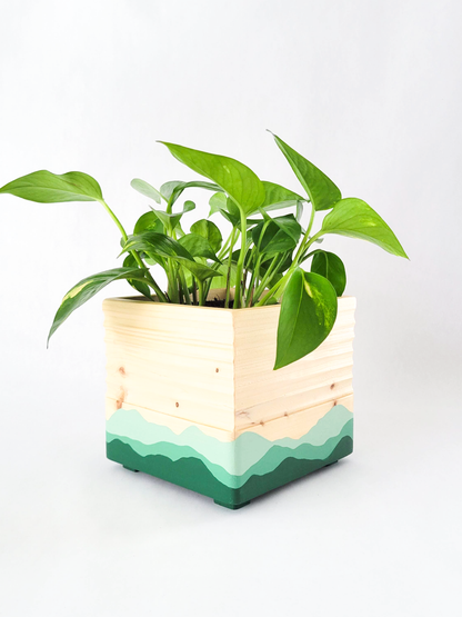 Square Mushroom Planter