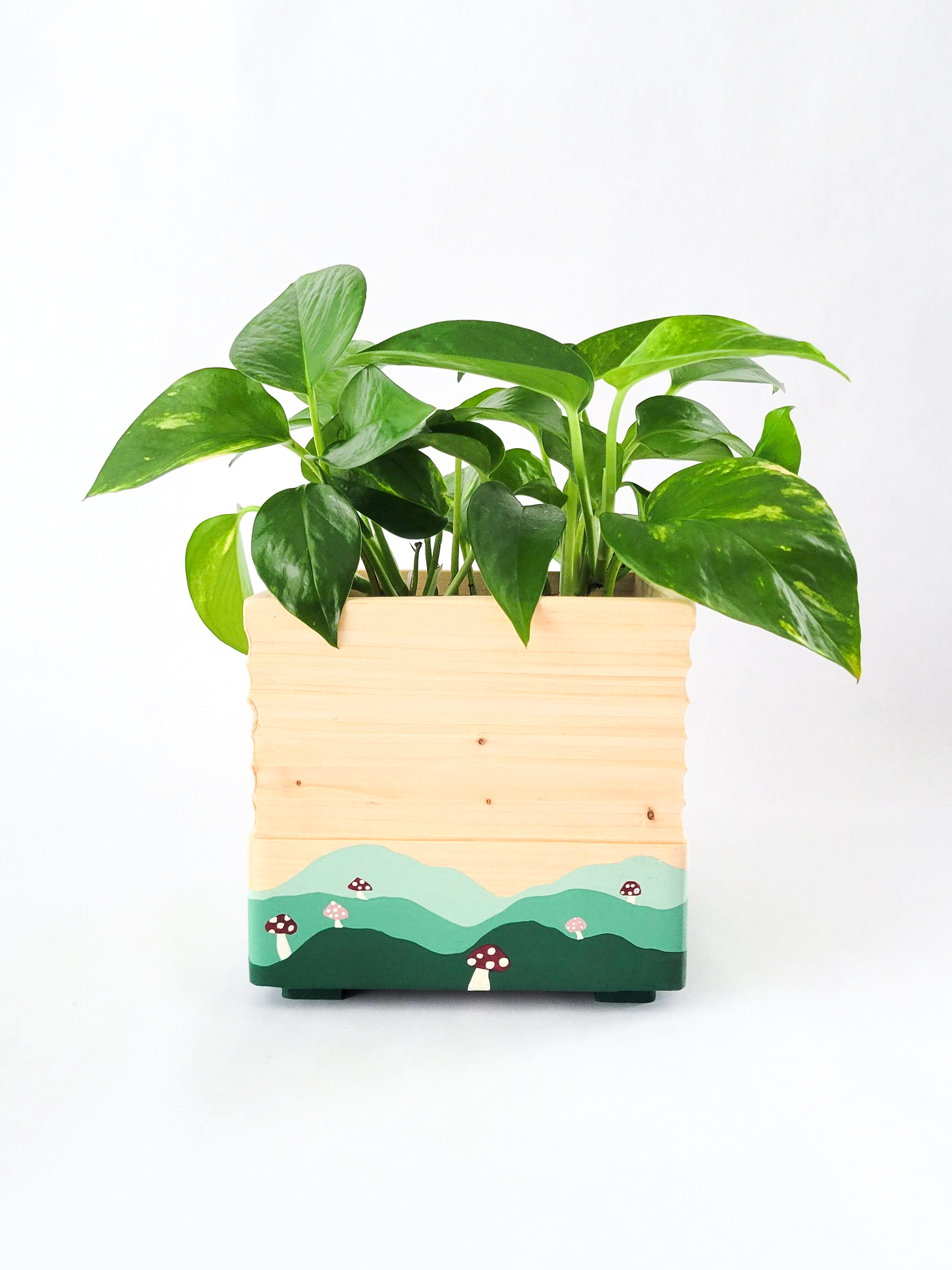 Square Mushroom Planter
