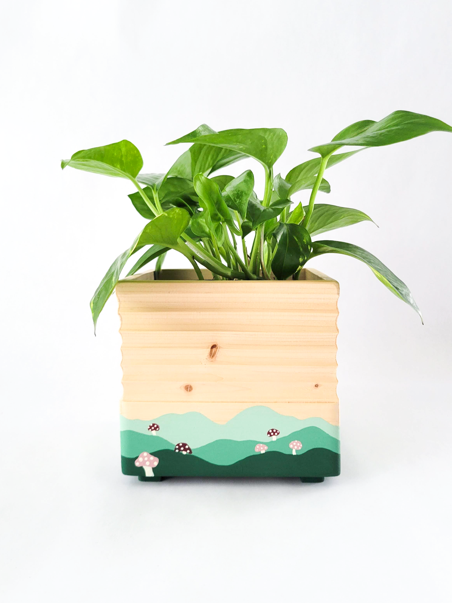 Square Mushroom Planter