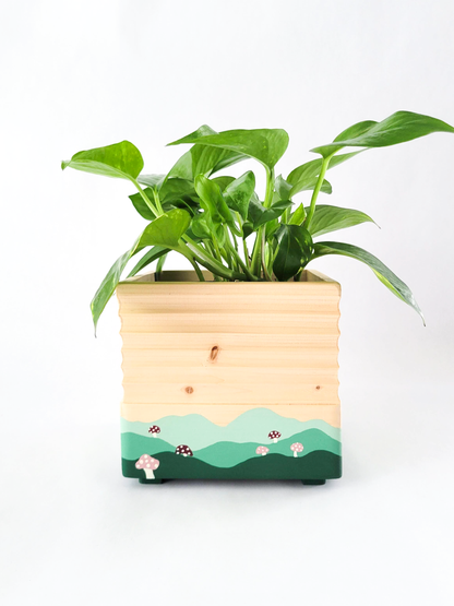 Square Mushroom Planter