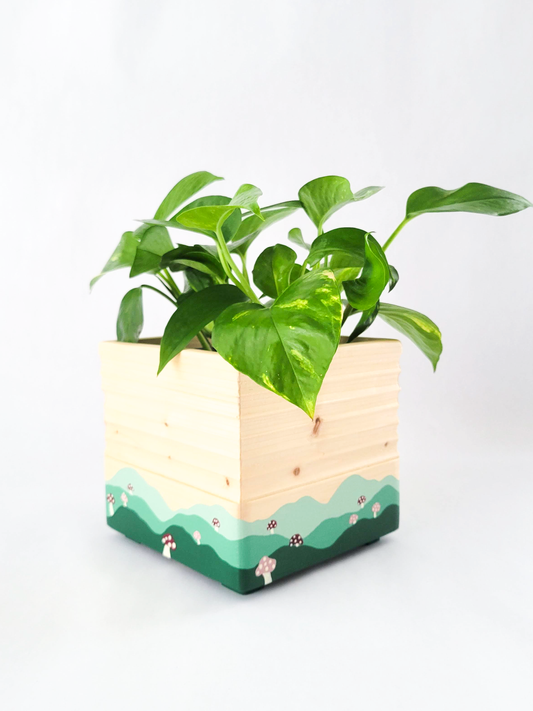 Square Mushroom Planter