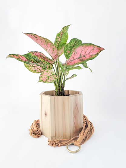 Wood Octagon Planter with Macrame