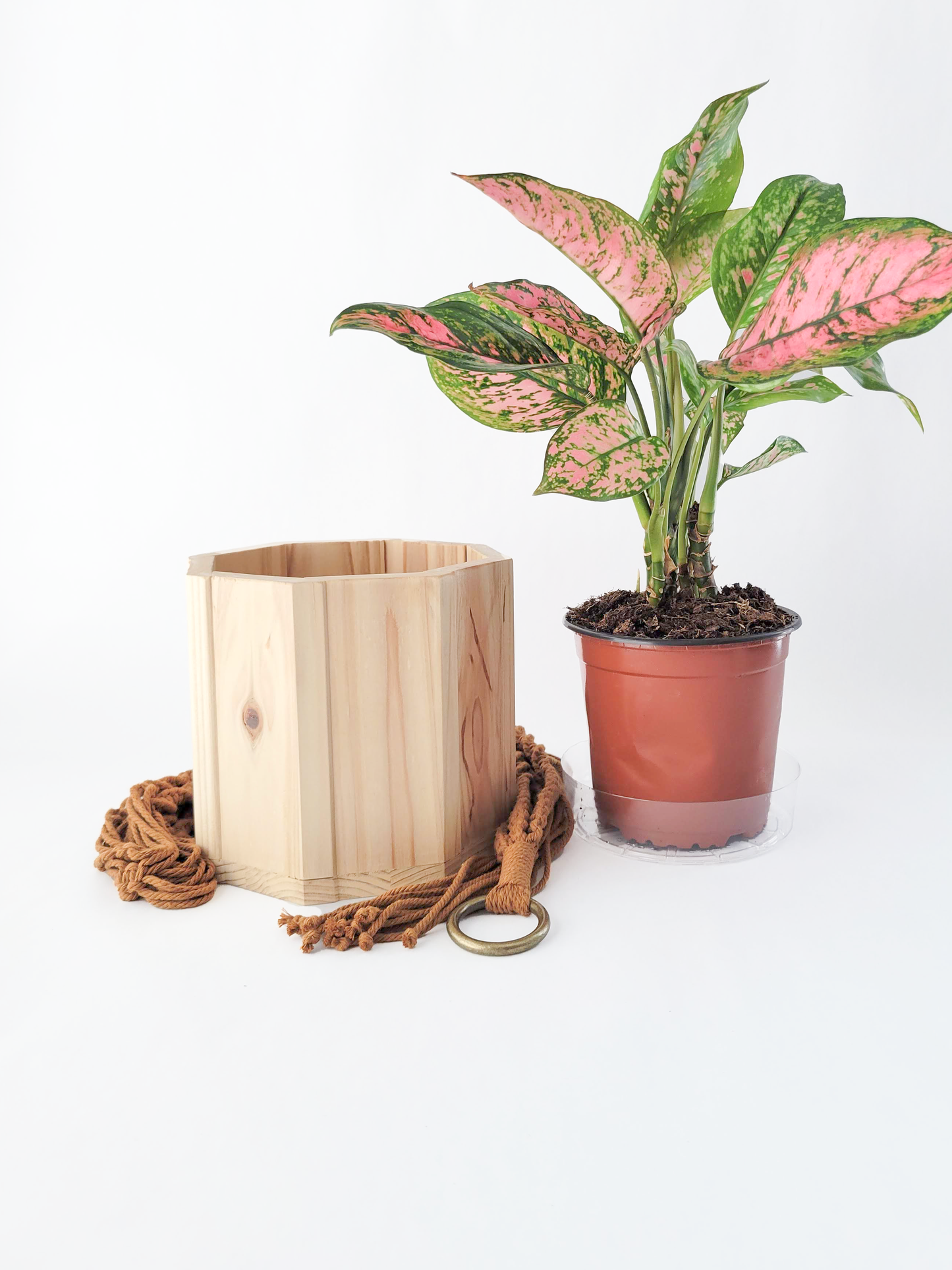 Wood Octagon Planter with Macrame
