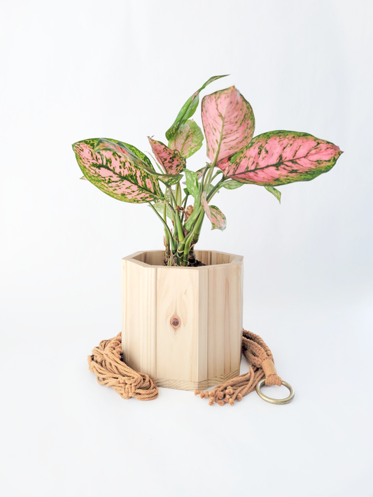 Wood Octagon Planter with Macrame
