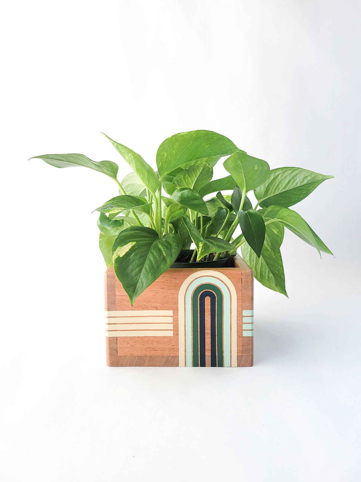 Green Line Square Planter