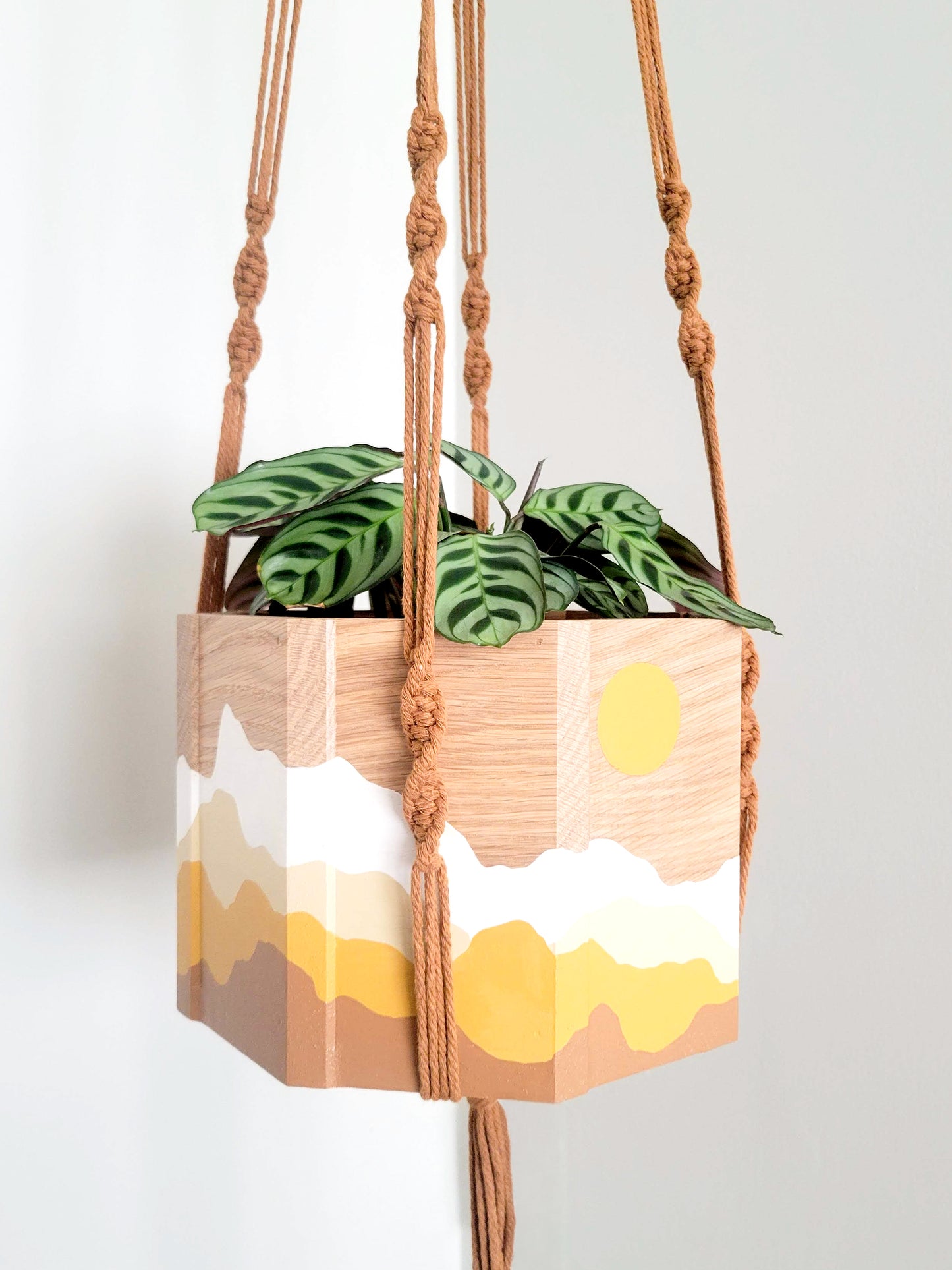 Sun & Mountains Planter with Macrame Hanger