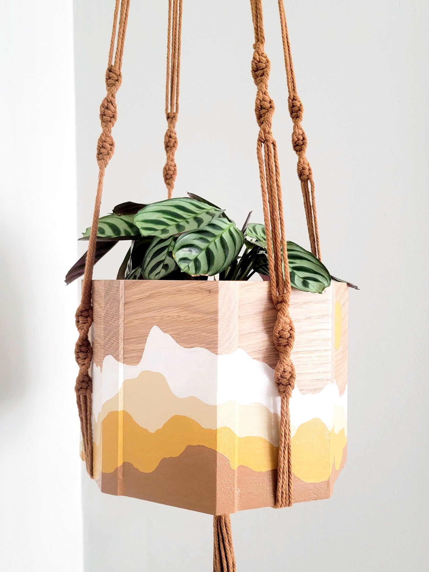 Sun & Mountains Planter with Macrame Hanger