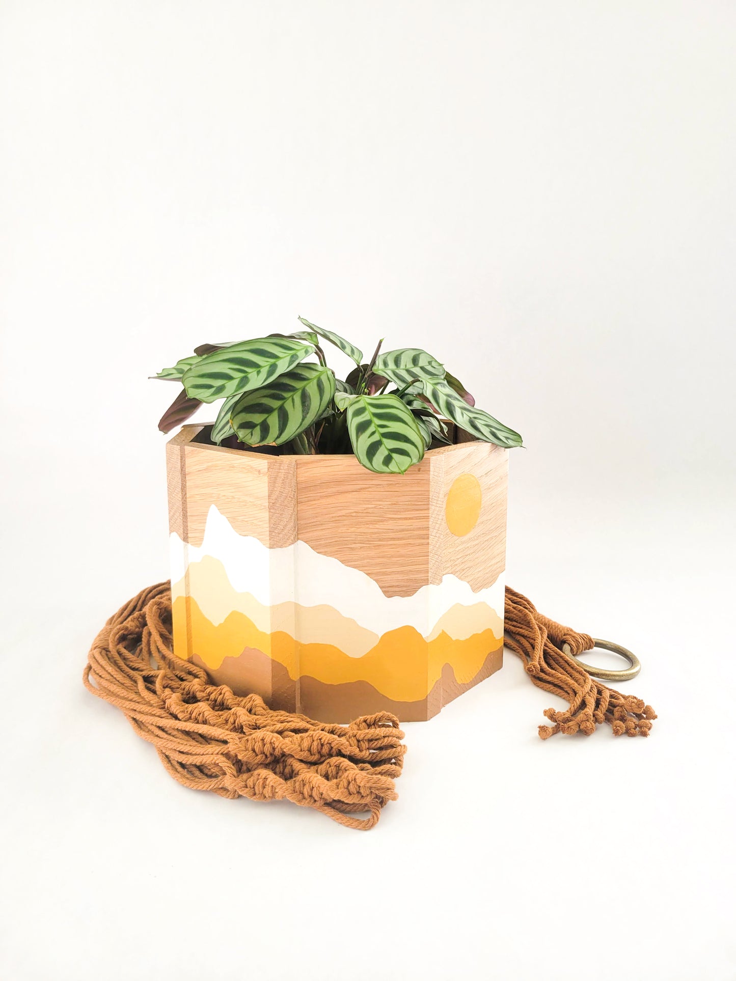 Sun & Mountains Planter with Macrame Hanger
