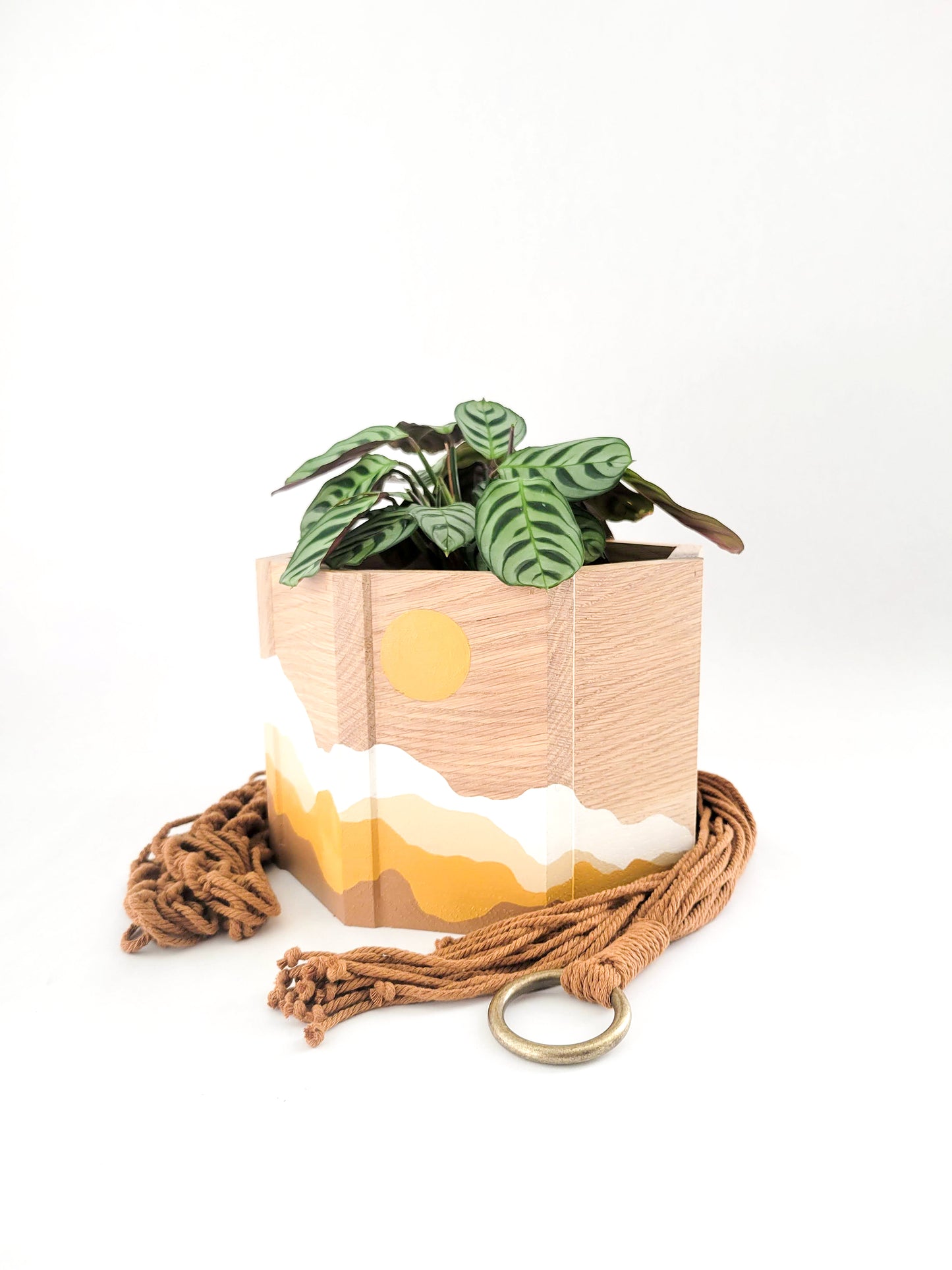 Sun & Mountains Planter with Macrame Hanger