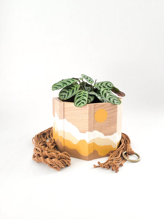 Sun & Mountains Planter with Macrame Hanger